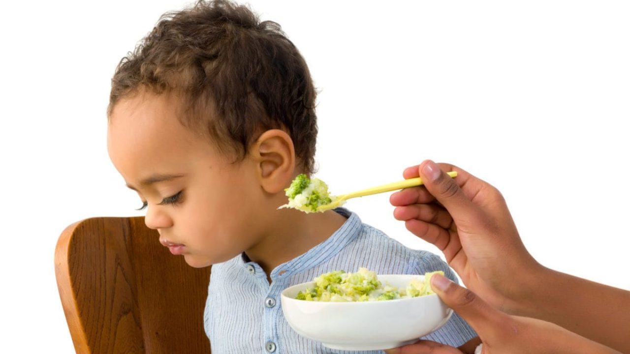 Mal que comen recetas para ninos