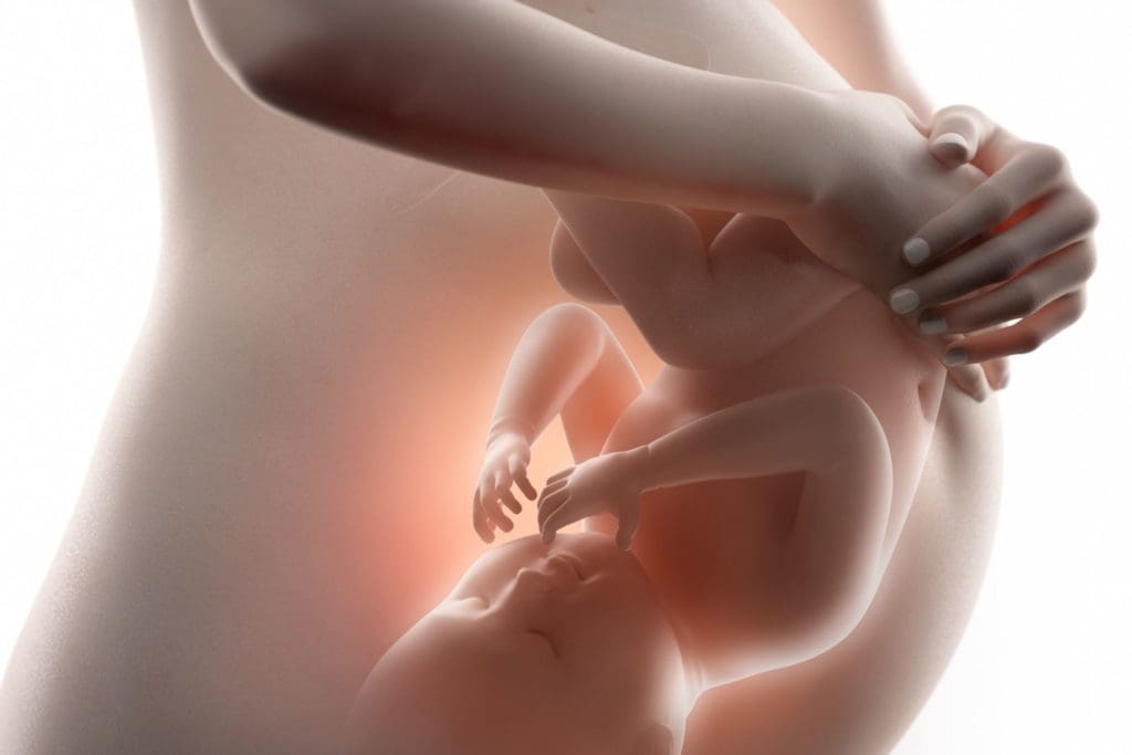 Como se mueve un bebe en el vientre alos 3 meses
